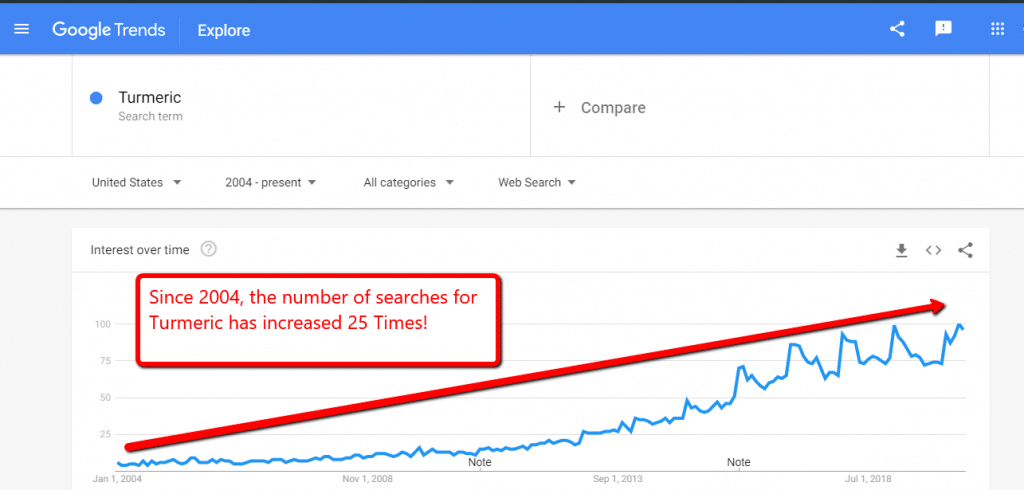 Turmeric searches since 2004